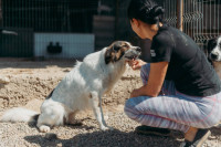 /album/220/whatsapp-image-2026-01-14-at-22-07-13-jpeg/